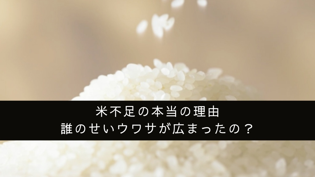 米不足（2024年）の本当の理由は何？誰のせいウワサが広まったの？